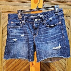 American Eagle Outfitters Women's Blue Denim Shorts